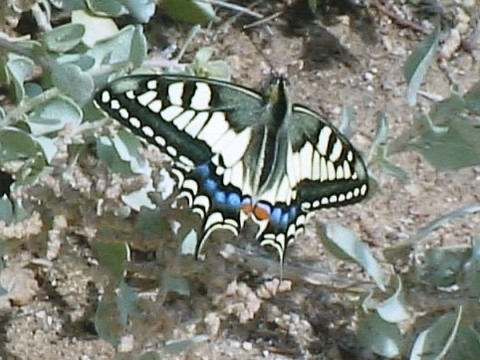 Chateau de Leucate-Leucate必去景点