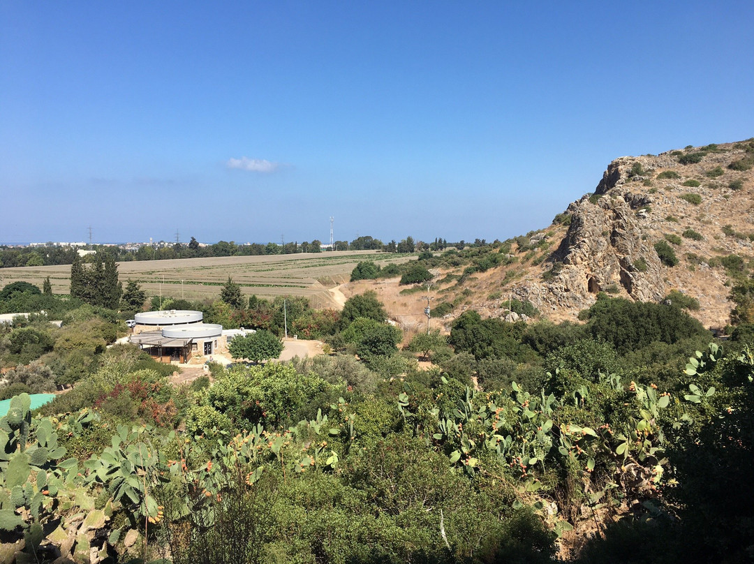Nahal Mearot Nature Preserve-Ein Hod必去景点