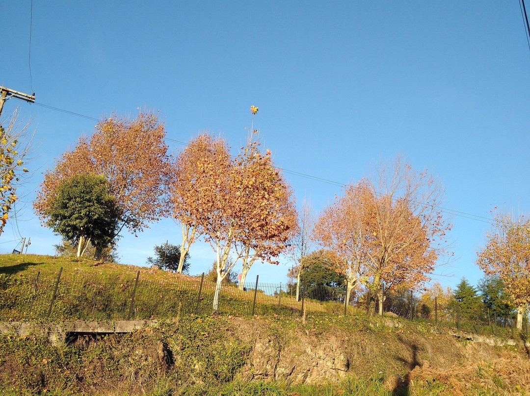 Pousada Terragnolo主图