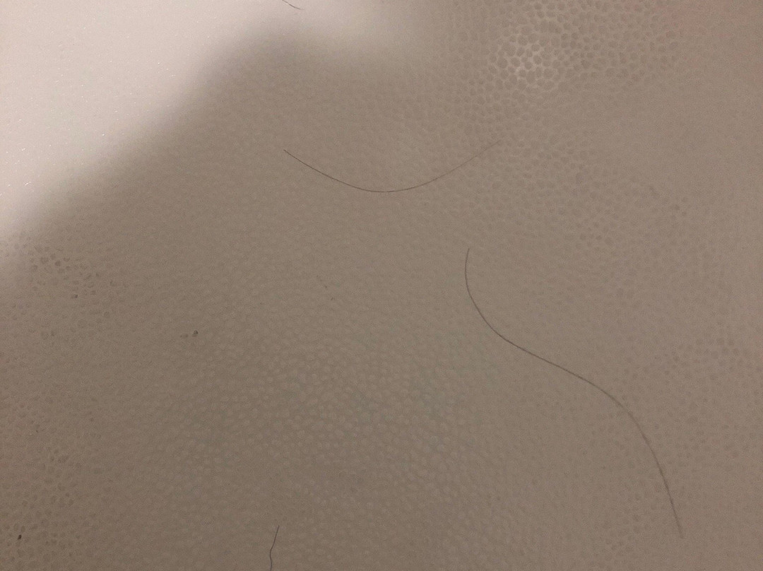 Super 8 by Wyndham Redding主图