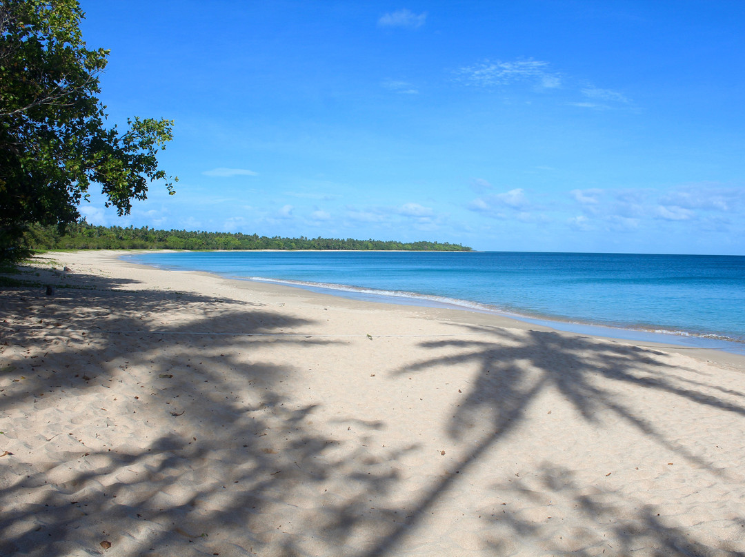 Sea Change Eco Retreat主图