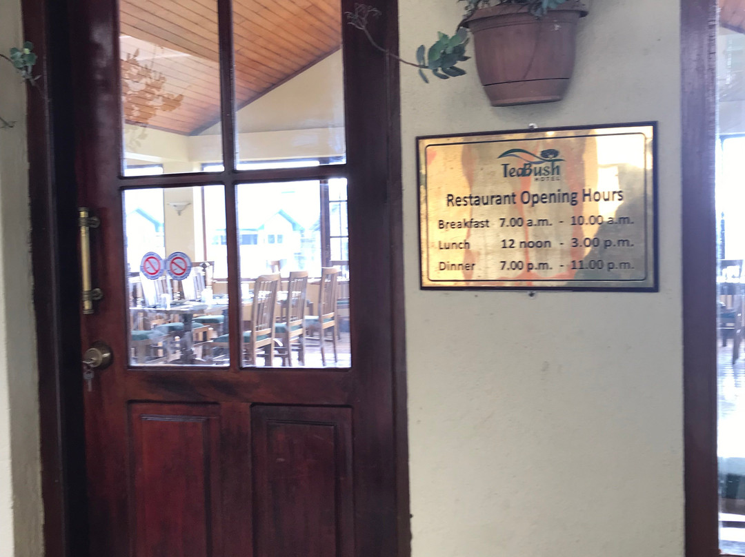 布什茶酒店主图