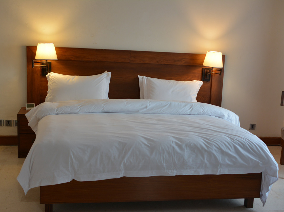 Woodpecker Suites & Hotels主图