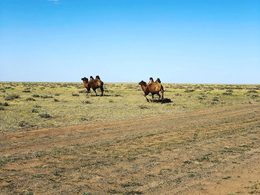 Gobi Gurvansaikhan National Park-Gobi Gurvansaikhan National Park必去景点