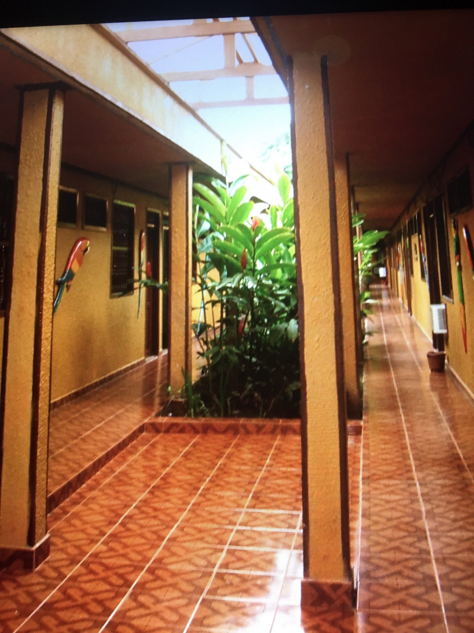 Hotel Fernando Real-官方
