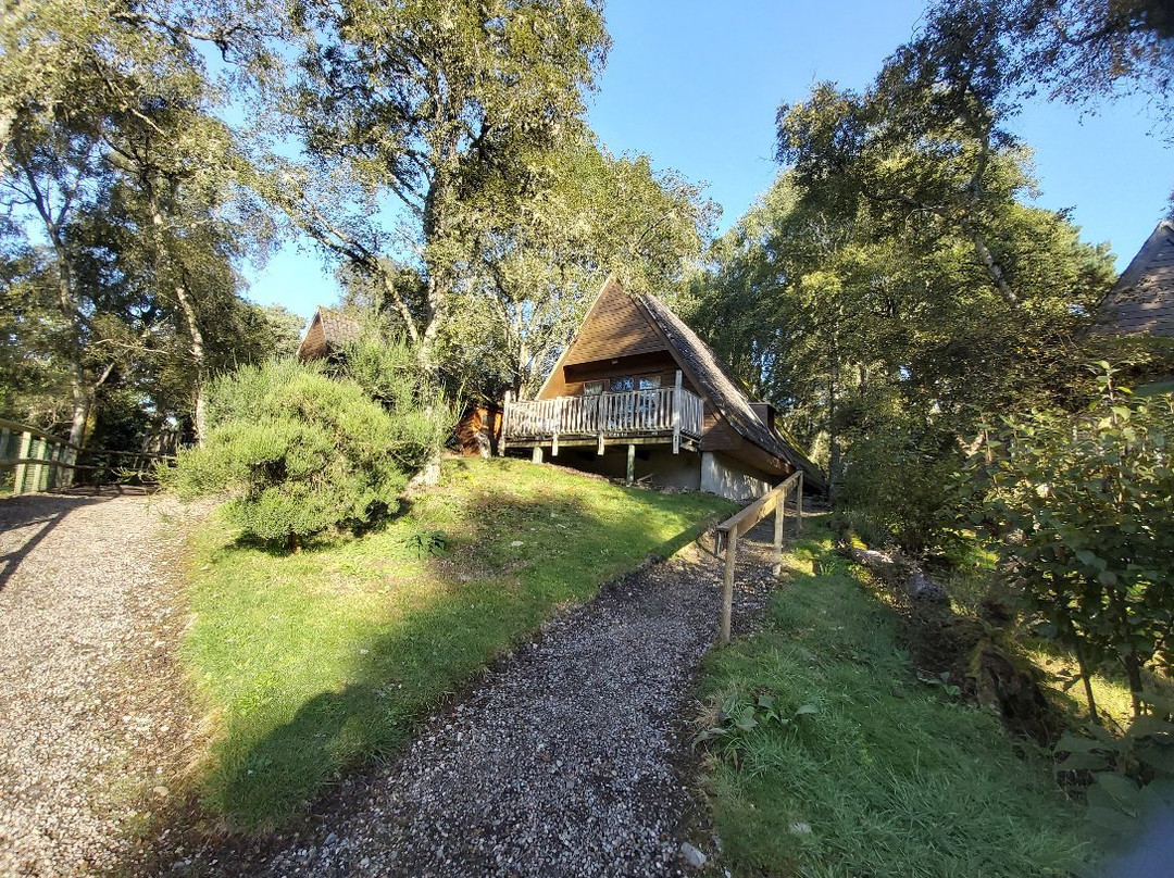 Delny Highland Lodges