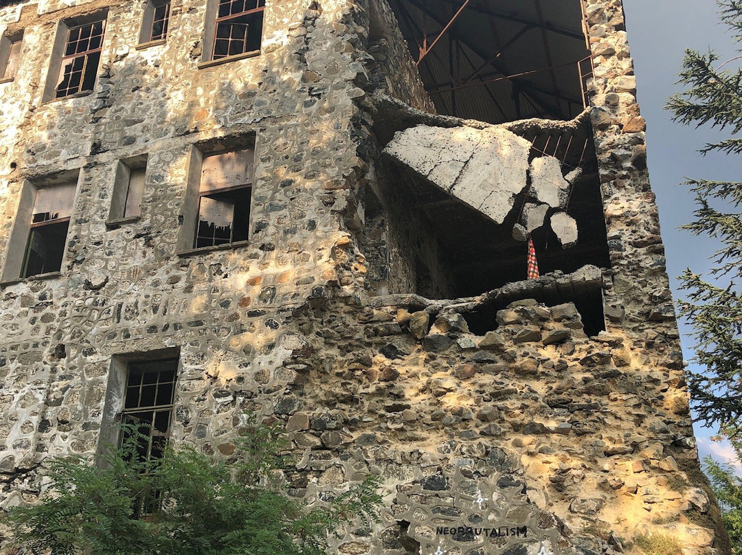 Berengaria Hostel & Restaurant主图