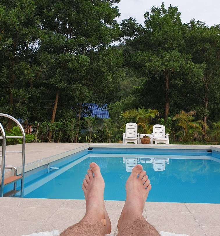 Jungle View Resort主图