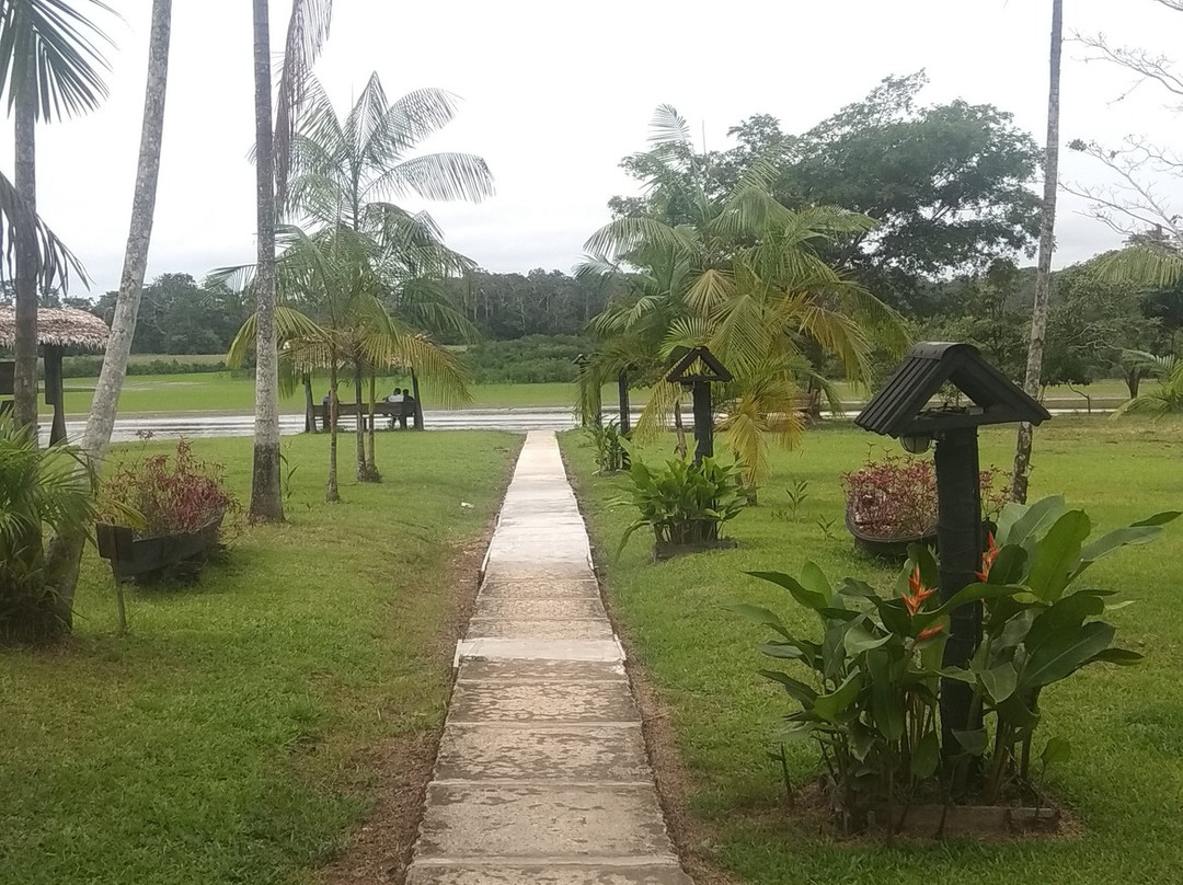 Eware Refugio Amazonico主图