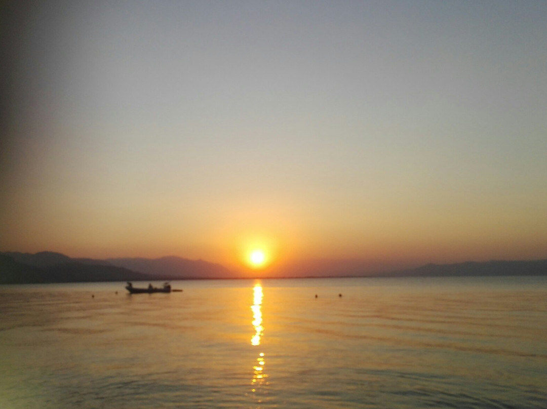 Hotel Violetta主图