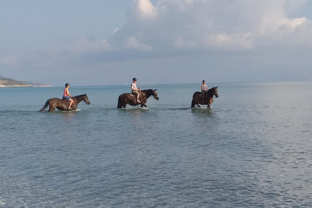 Rodeo Alykes Horse Riding-阿雷克斯必去景点