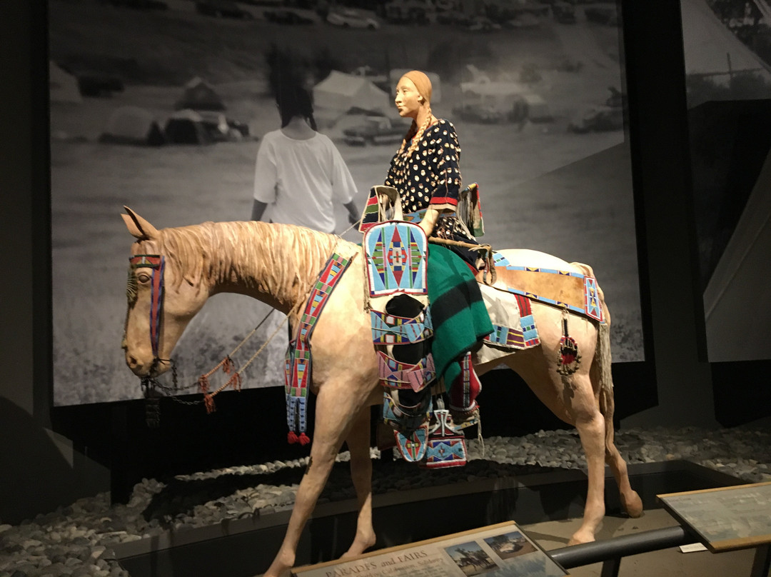 Draper Natural History Museum-科迪必去景点