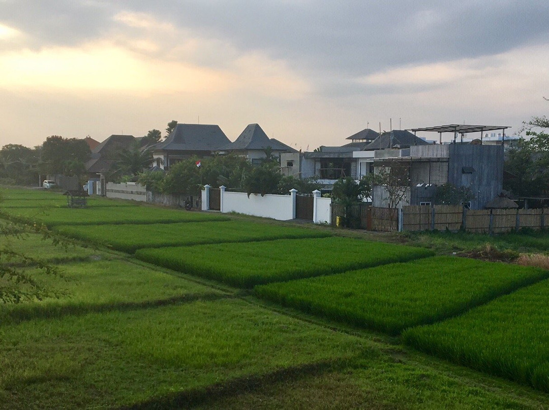 Kent Beach House主图