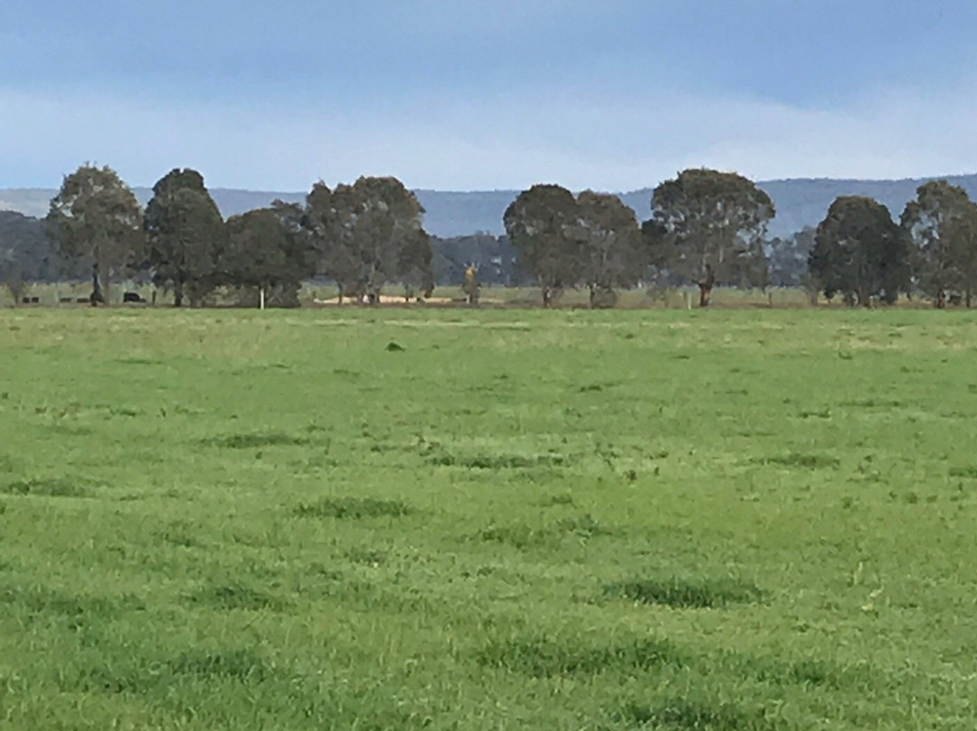 Gippsland Plains Scenic Drive-特拉拉尔根必去景点