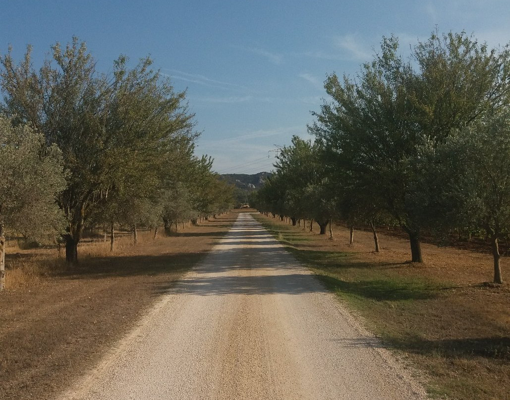Domaine de Valdition景点图片