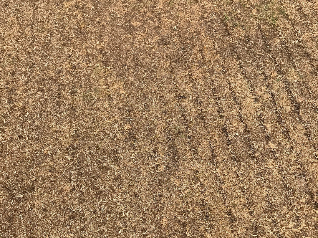 Fairmont Royal Palm Golf & Country Club-马拉喀什必去景点