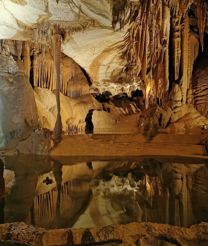 Grotte de la Cocalière景点图片