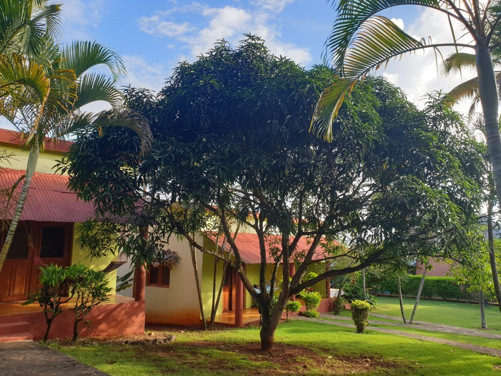 Hotel Rincón Rubi主图