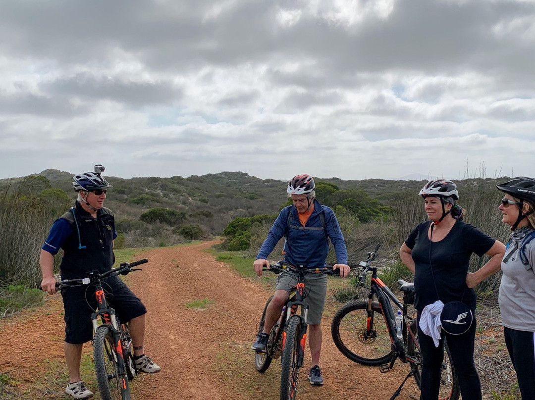Koeberg Private Nature Reserve-Green Point必去景点