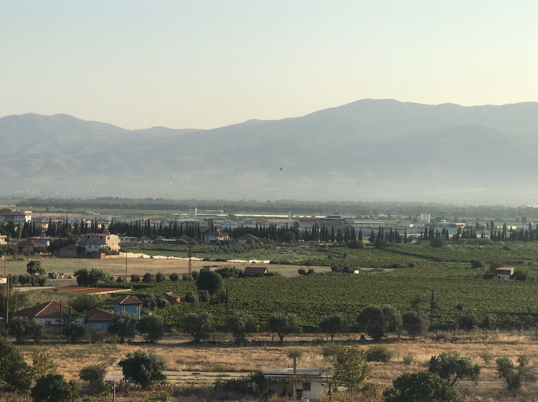 Hotel La Bella主图