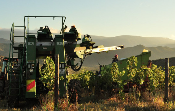 Montagu Winery-蒙提古必去景点