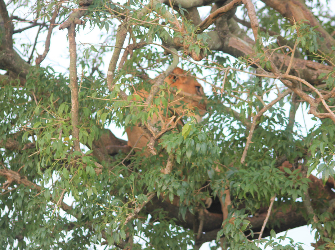 Watalii Safaris-坎帕拉必去景点