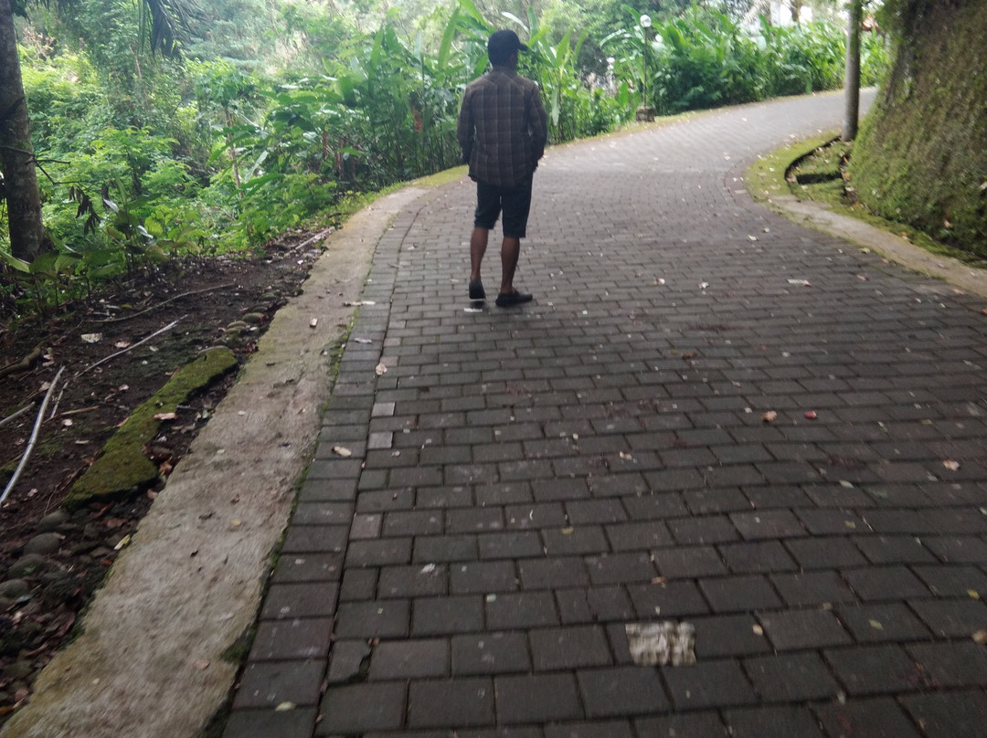 Penatahan Waterspring-达巴南必去景点