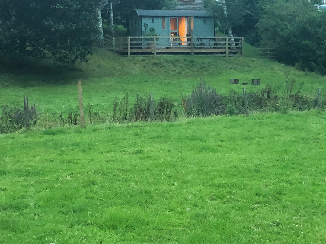 Meadowland Farm B&B and Shepherd's Hut主图