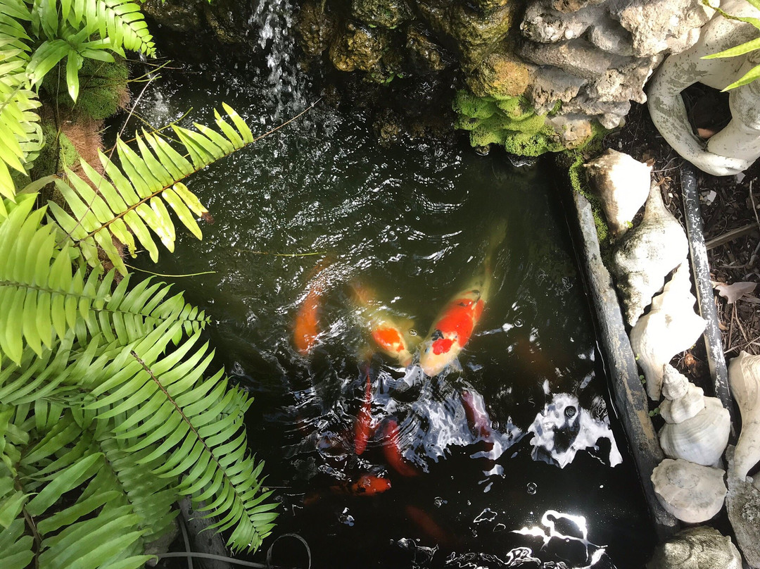 The Sea Hagg-Cortez必去景点