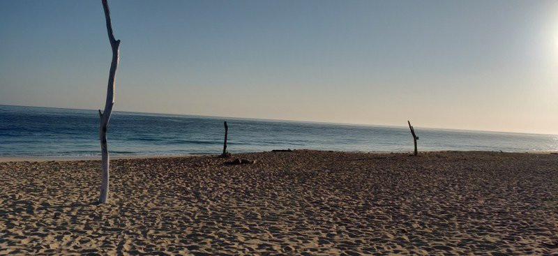 Mario Hotel & Cafe主图