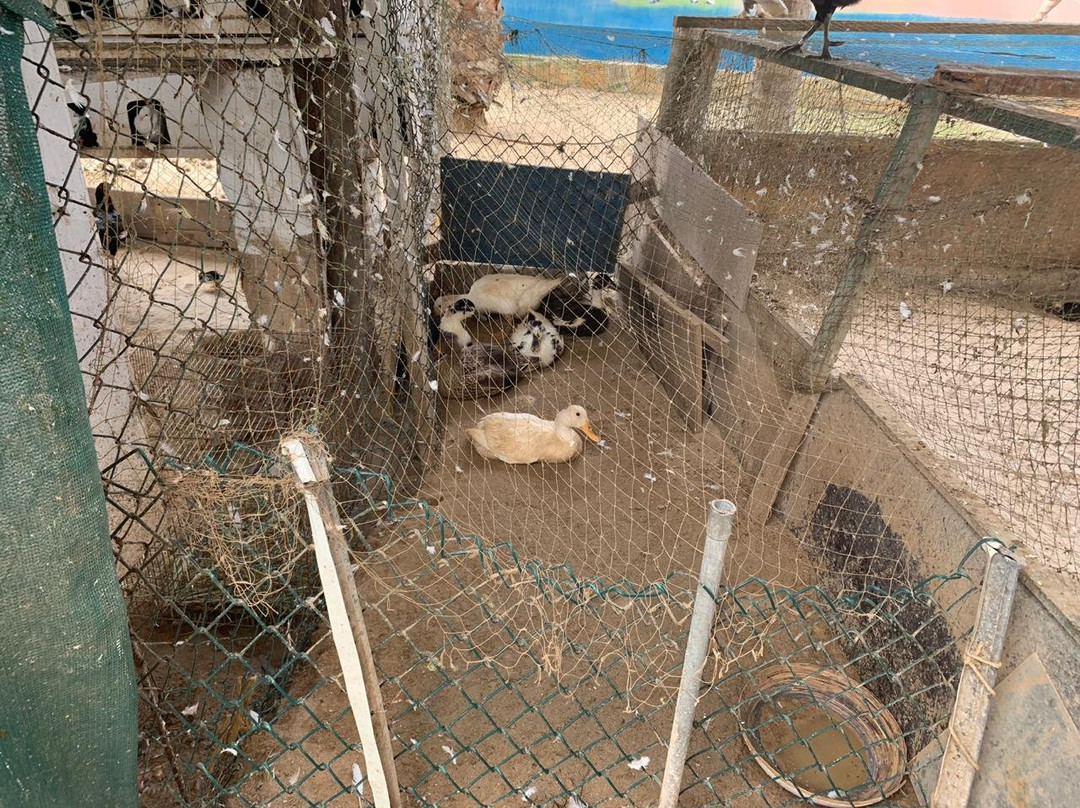 Fanar Hotel and Residences主图