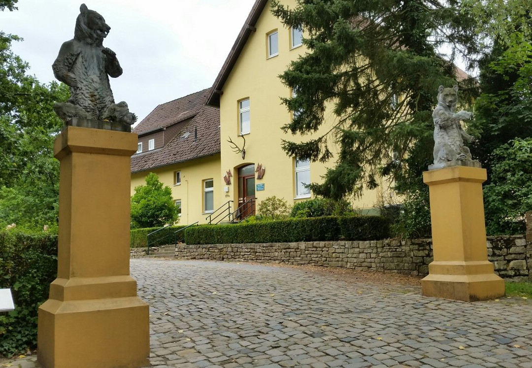 Heimat-Tierpark Olderdissen景点图片