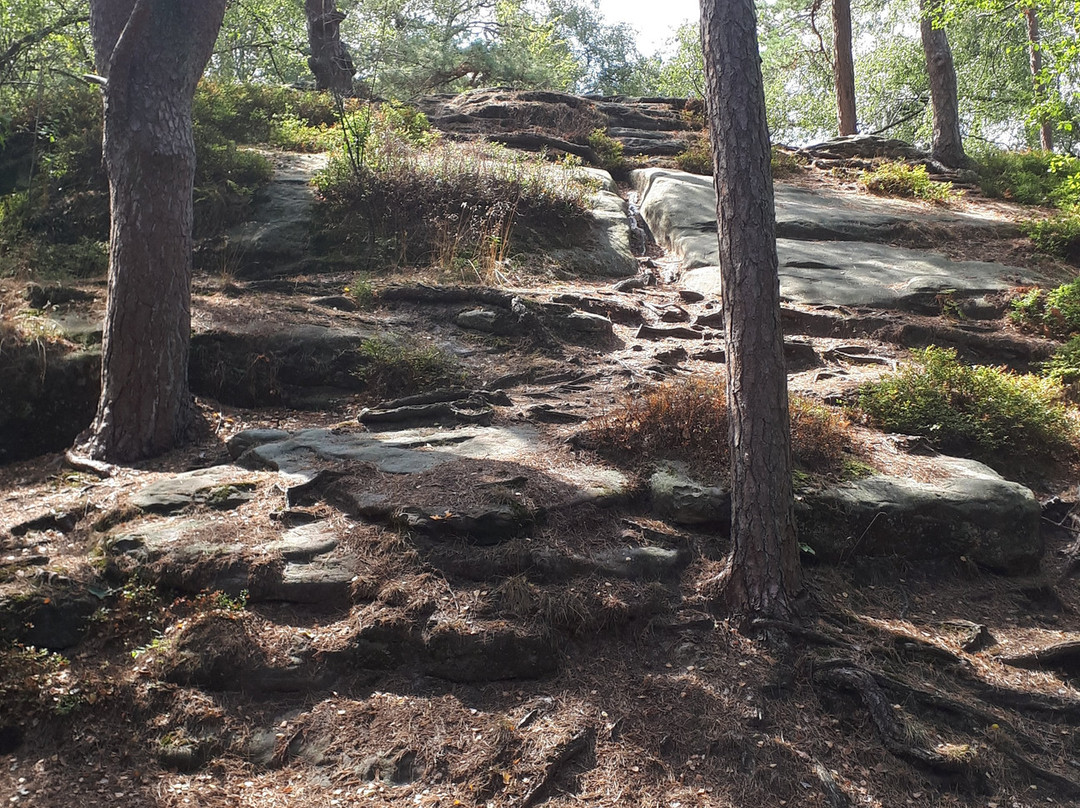 Aussichtsturm-Isterberg必去景点