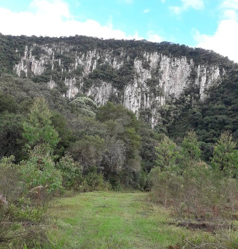 Perau De Janeiro-Arvorezinha必去景点