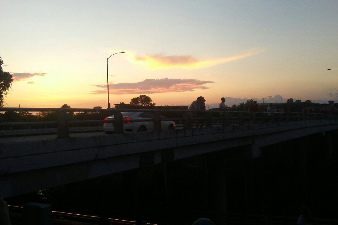 Waugh Drive Bat Colony-休斯顿必去景点