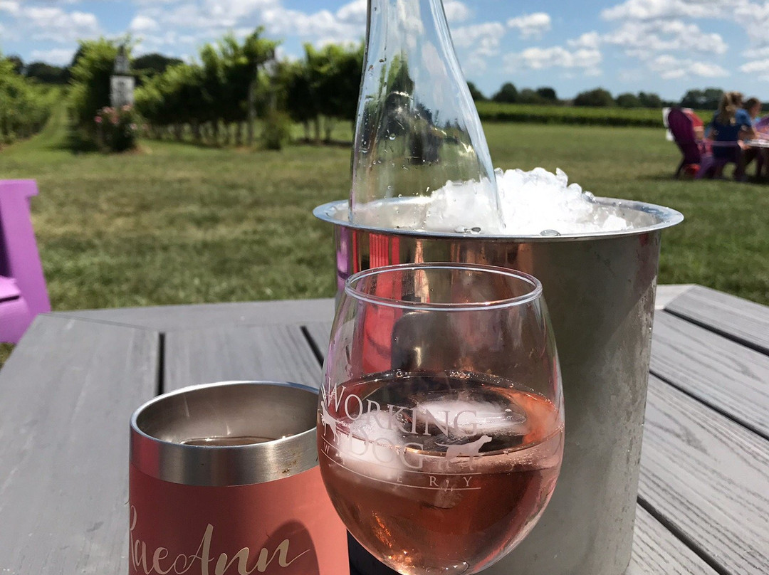 Working Dog Winery-东温莎必去景点