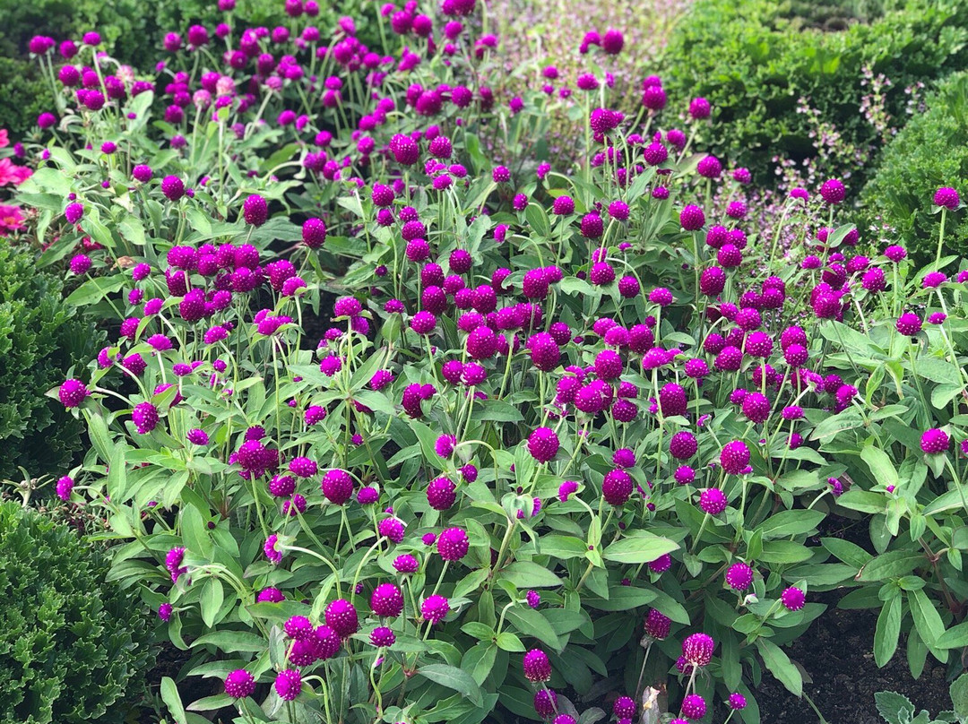 Nature Centre (Le Centre de la nature)-拉瓦尔必去景点