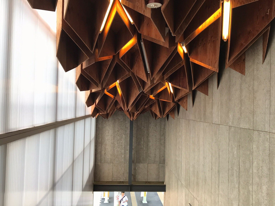 Hoshakuji Station-高根泽町必去景点