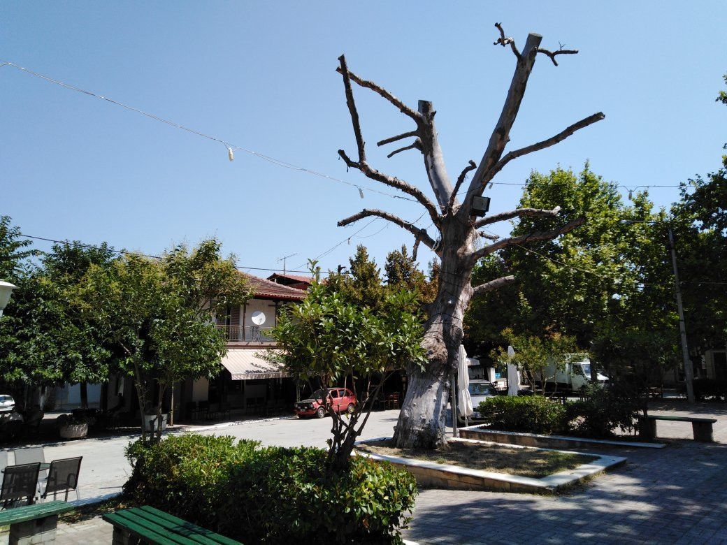 Nea Madytos Pedestrian Zone景点图片