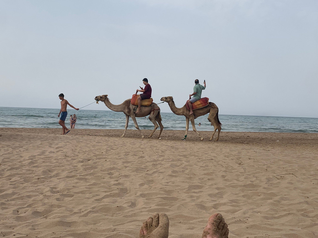 Saidia Beach-萨伊迪耶必去景点