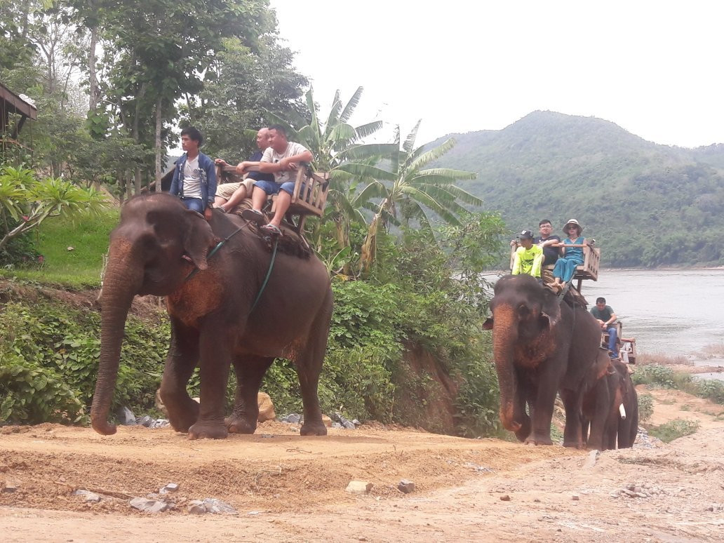 Tour Luang prabang-Mr Service景点图片
