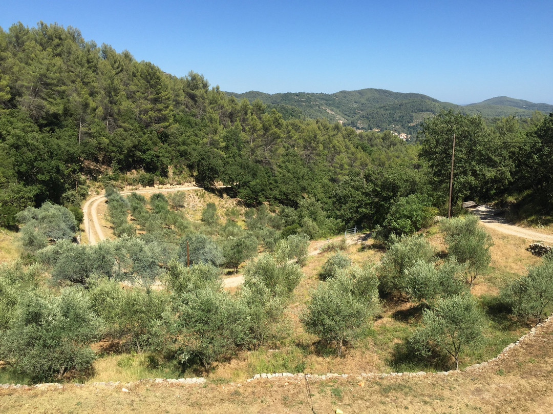 Olives-en-Provence景点图片