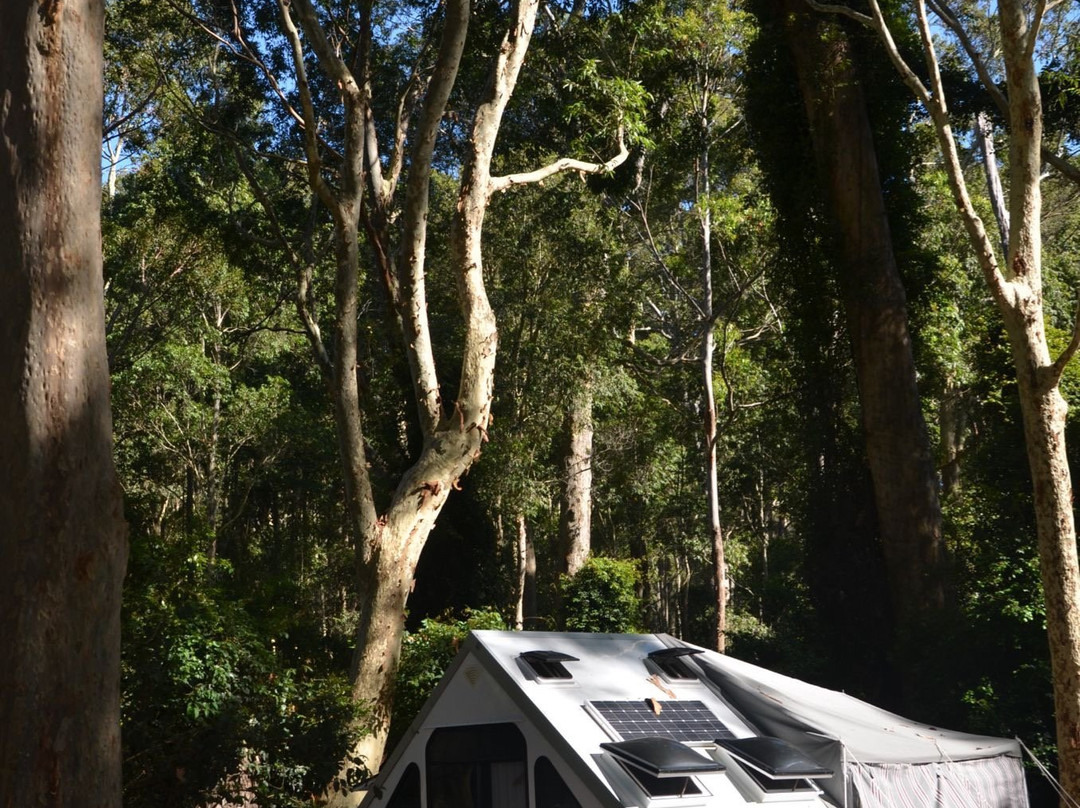 Botanic Gardens-Emerald必去景点