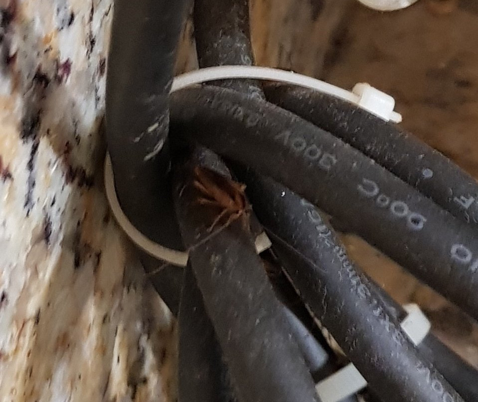 Spark by Hilton Sarasota Siesta Key Gateway主图