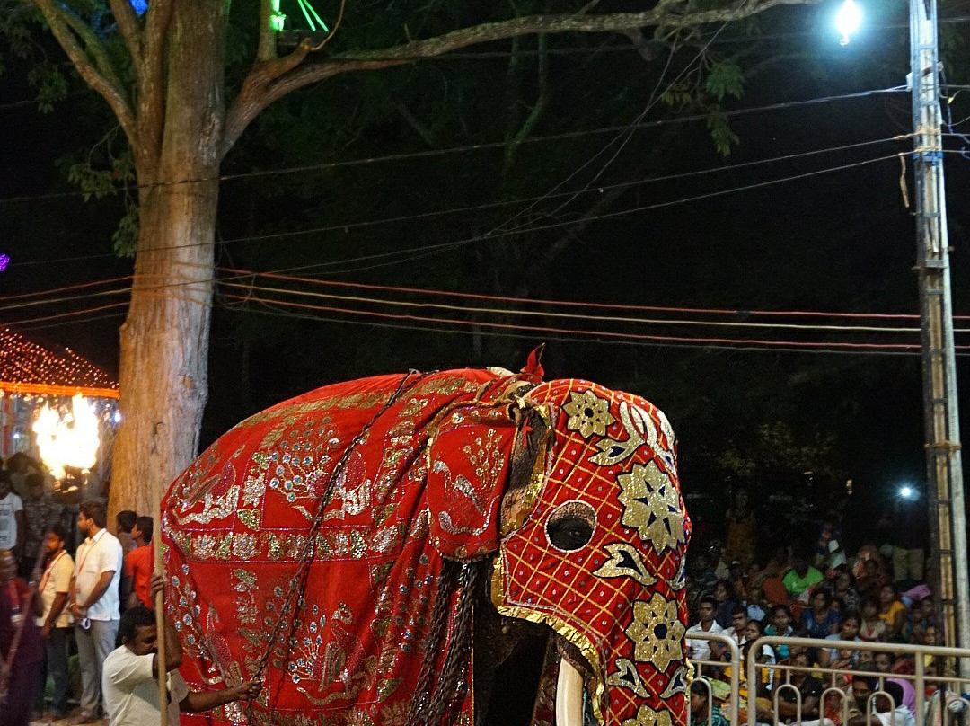 Kataragama Perahera Festival-卡塔拉伽马必去景点