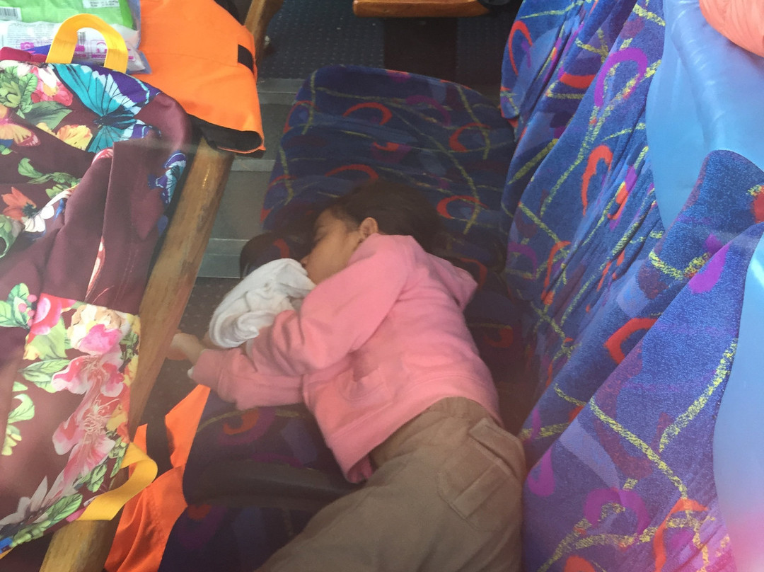 Glaciar Grey-纳塔莱斯港必去景点