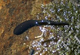 Sparks Lake-本德必去景点