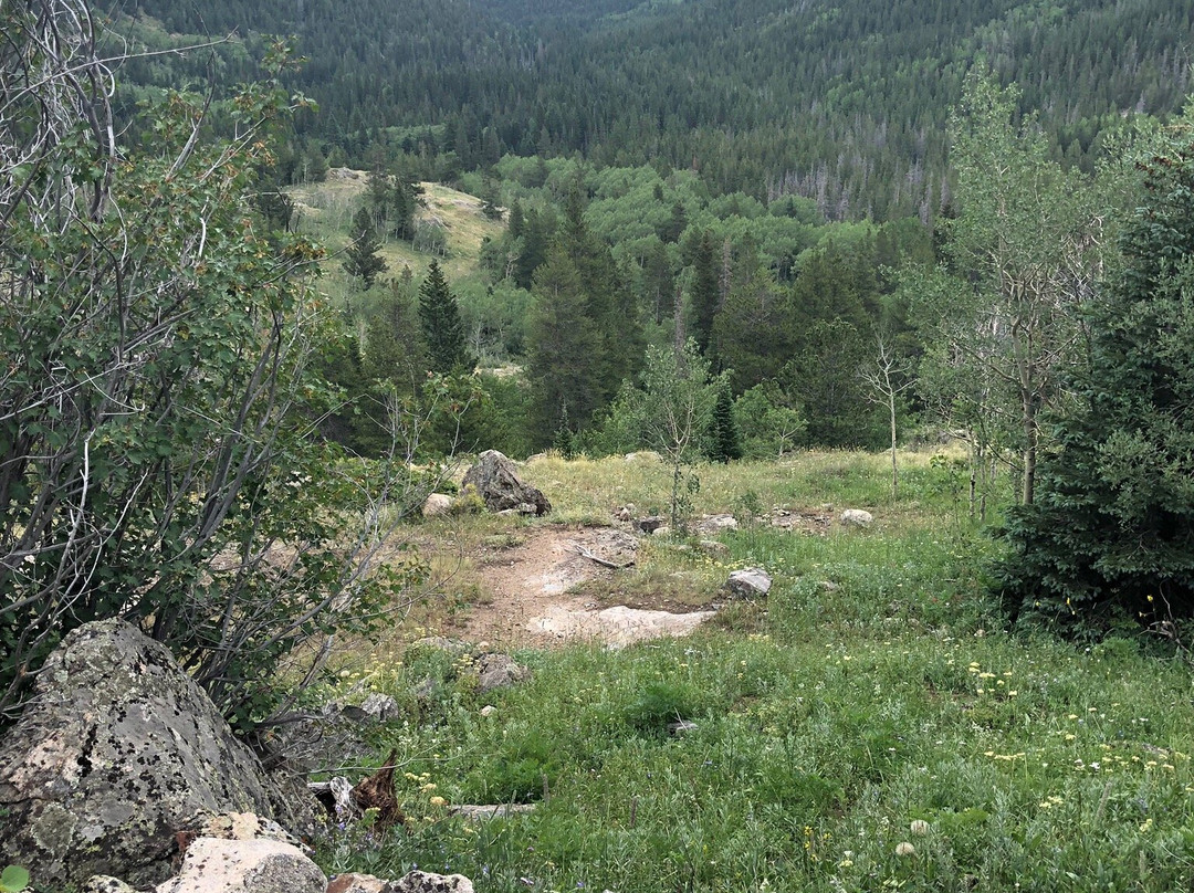 Hessie Trailhead-Nederland必去景点