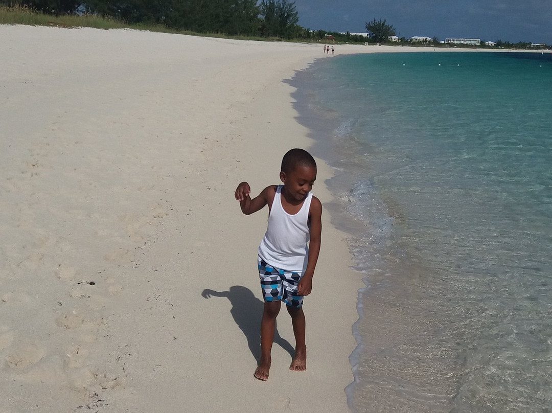 Island Fish Fry-普罗维登西亚莱斯必去景点