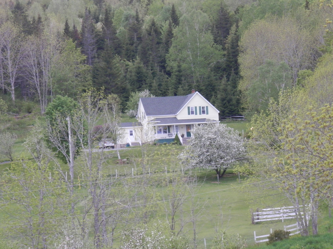 Azelia Farmhouse B & B主图